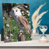 バーンフクロウ フォトプラーク (側面)