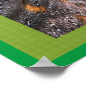 バーンフクロウ ポスター (角)