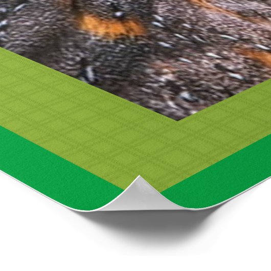 バーンフクロウ ポスター (角)