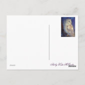 バーンフクロウ ポストカード (裏面)