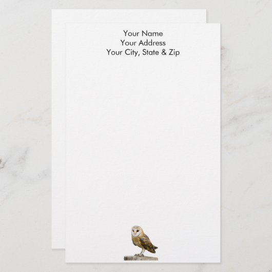 バーンフクロウ 便箋 (正面/裏面)