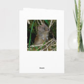 バーンフクロットランド カード (裏面)