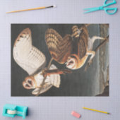 バーンフクロバイジョンジェームズオードボン 薄葉紙 (クラフト)