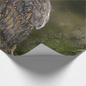 バーンフクロールラッピング紙 ラッピングペーパー (角)