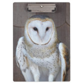 バーンフクロールラプターフォト クリップボード (正面)