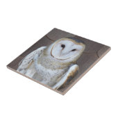 バーンフクロールラプターフォト タイル (側面)