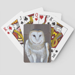 バーンフクロールラプターフォト トランプ