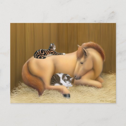 バーンフレンドポストカード ポストカード (正面)