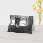 バーンホース カード (黄色い花)