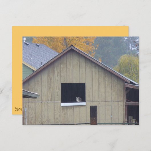 バーン子猫はがき ポストカード (正面/裏面)