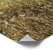 バーン ポスター (角)