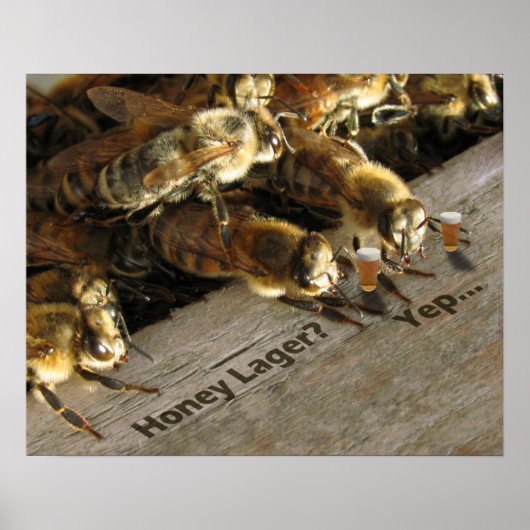 バー蜂_蜂蜜ラガー？ ポスター (正面)