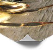 バー蜂_蜂蜜ラガー？ ポスター (角)