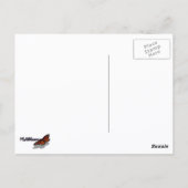 バー・ハーバーのビーチ・ロック夫妻 ポストカード (裏面)