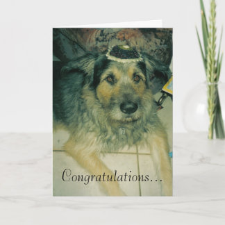 バー（ユダヤ教の）バル・ミツバー カード