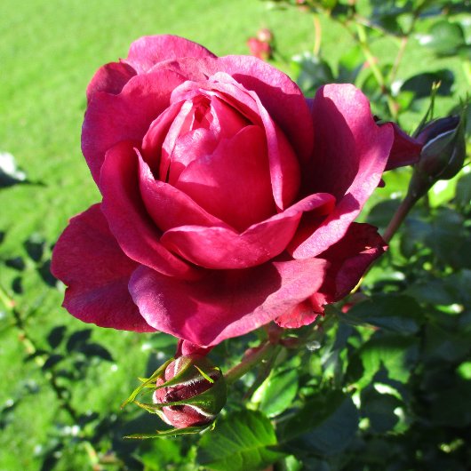 バー-127マグカップ コーヒーマグカップ