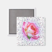 バ大切ンタインバラ、磁石 マグネット (正面/裏面)