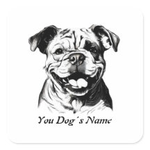 バ最高のディイングリッシュブルドッグB&Wシロヒュエット