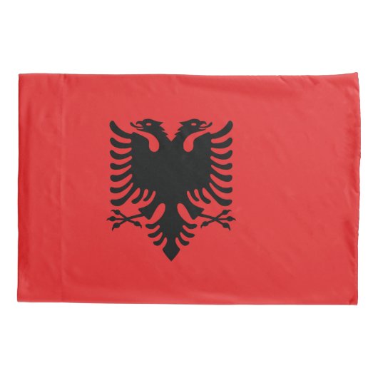 バ独身のロニア国旗を持つピラロケース 枕カバー (裏面)