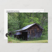 バ素朴ンはがき ポストカード (正面/裏面)