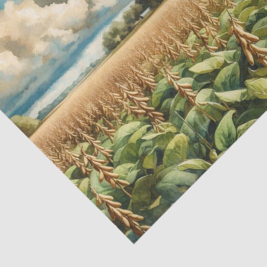 バ素朴ーンと大豆ファームの水の色の切り離し 薄葉紙 (詳細)