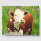 バ結婚ンの牛のカップル（名前）ゲストブック ゲストブック (裏面)