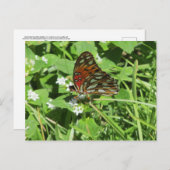 バ絵を描イの葉書 ポストカード (正面/裏面)