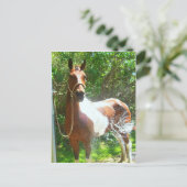 バ絵を描ス ポストカード (スタンド正面)