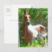 バ絵を描ス ポストカード (正面/裏面)