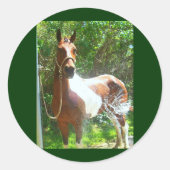 バ絵を描ス ラウンドシール (正面)