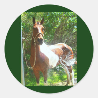 バ絵を描ス ラウンドシール