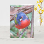 バ絵を描ング用グリーティングカード カード (黄色い花)