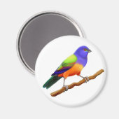 バ色彩の鮮やかング磁石 マグネット (正面/裏面)