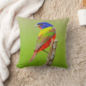 バ色彩の鮮やかンティング(Passerina ciris)男性の止まり木 クッション (ブランケット)