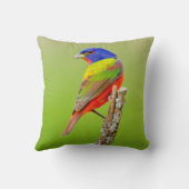 バ色彩の鮮やかンティング(Passerina ciris)男性の止まり木 クッション (裏面)