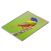 バ色彩の鮮やかンティング(Passerina ciris)男性の止まり木 ノートブック (左側)