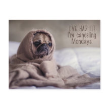 パおもしろいグ犬はがき