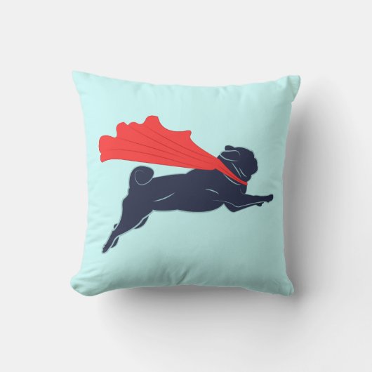 パすごいグ クッション (正面)