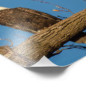 パアンドマイーグル フォトプリント            (角)