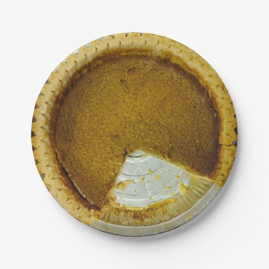 パイおもしろい4アリー ペーパープレート (正面)