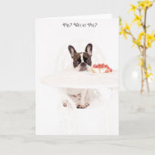 パイか。 どんなパイか。 カード (黄色い花)