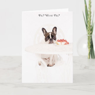 パイか。 どんなパイか。 カード