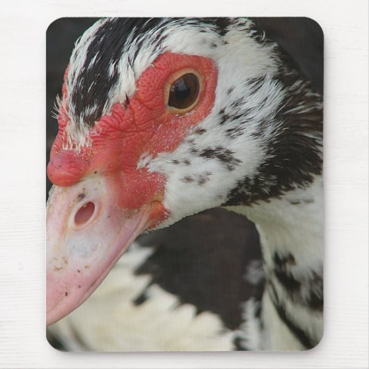 パイが「こんにちは！」と言った。 マウスパッド (正面)