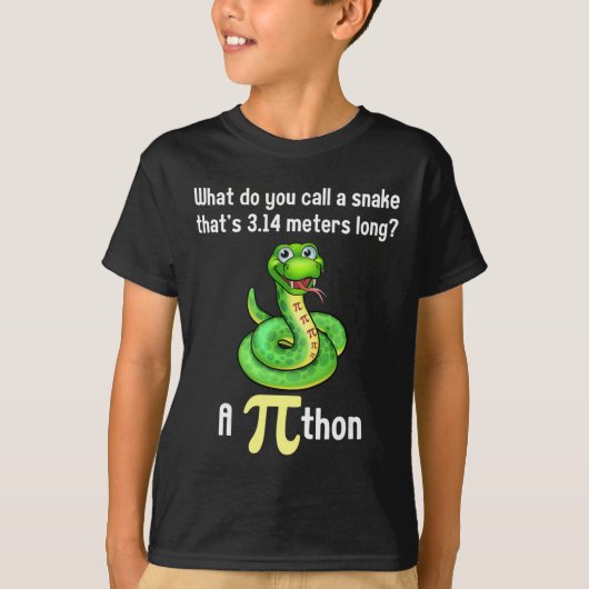 パイの日+パイソン+数学教師+ジョーク+女性 Tシャツ (正面)