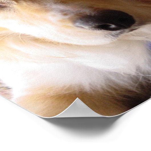 パイの目 ポスター (角)