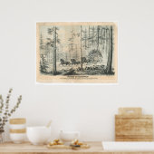 パイオニアステージ会社(0065A) ポスター (キッチン)