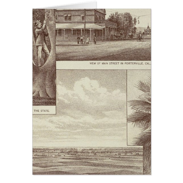 パイオニアランドCo tract（ポテルビル） (正面)