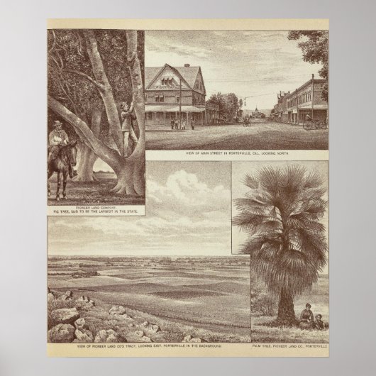 パイオニアランドCo tract（ポテルビル） ポスター (正面)