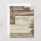 パイオニアランドCo tract(ポテルビル) ポストカード (正面/裏面)