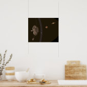 パイオニア11宇宙探査科学ポスター ポスター (キッチン)